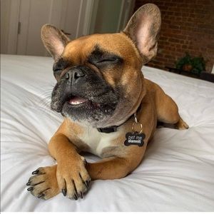 Meet your Posher, Aja